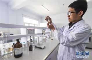 河北故城 新材料技术研发助力打造国际一流画材基地